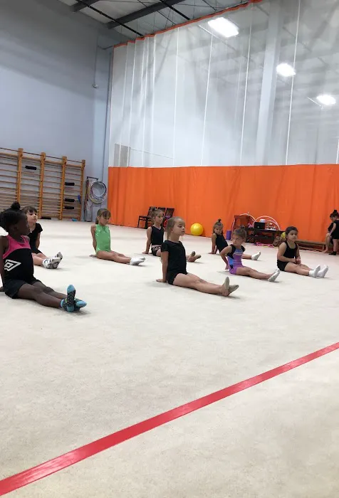 Prima Rhythmic Gymnastics Picture 2