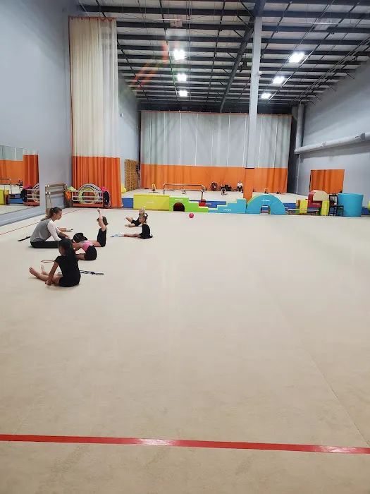 Prima Rhythmic Gymnastics Picture 8