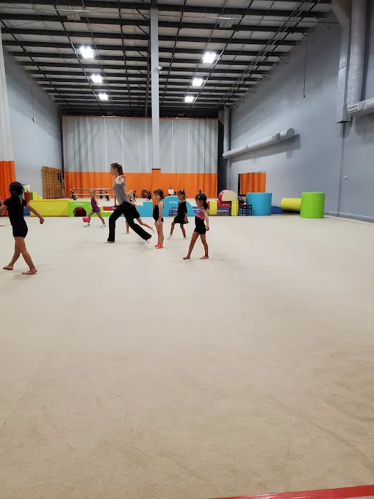 Prima Rhythmic Gymnastics Picture 1