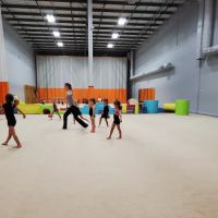 Prima Rhythmic Gymnastics ico