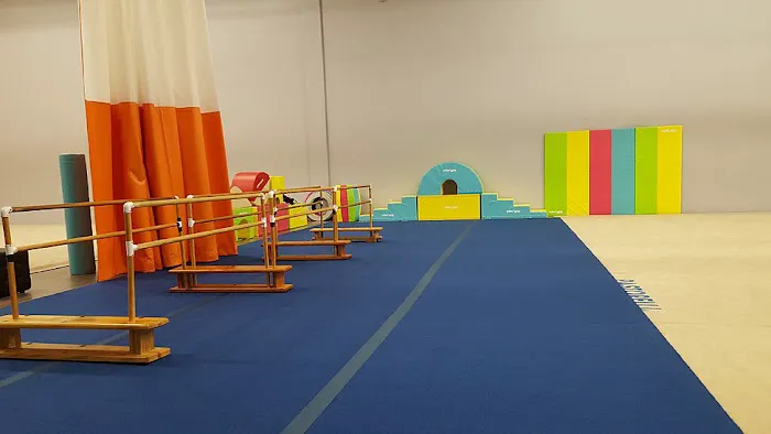 Prima Rhythmic Gymnastics Picture 9