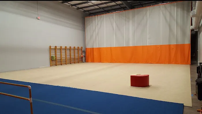 Prima Rhythmic Gymnastics Picture 10