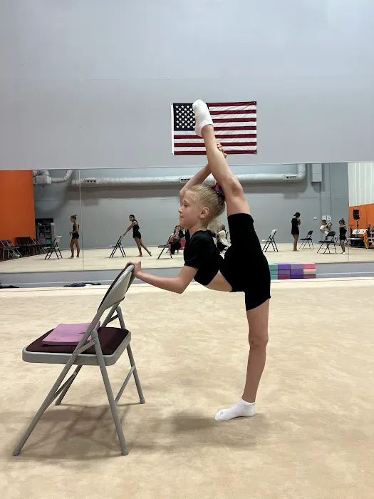 Prima Rhythmic Gymnastics Picture 5