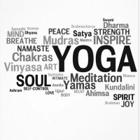 Prana Yoga Alpharetta - Private and group Vinyasa Classes ico