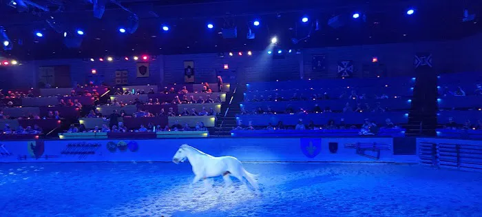 Burn Boot Camp Picture 6