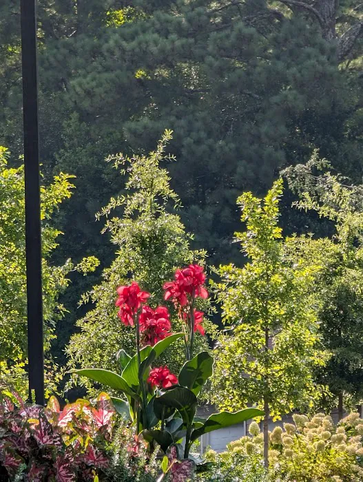 Village at Lake Park Athletic Center Picture 9