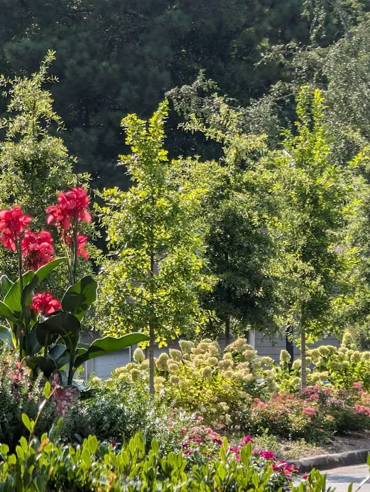 Village at Lake Park Athletic Center Picture 10