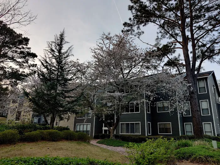 Village at Lake Park Athletic Center Picture 3