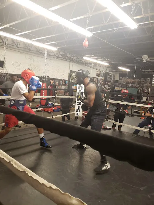 Champs Boxing & Fitness Picture 2