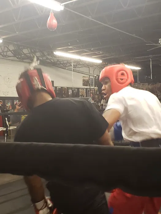 Champs Boxing & Fitness Picture 4