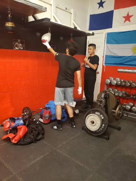 Champs Boxing & Fitness Picture 10