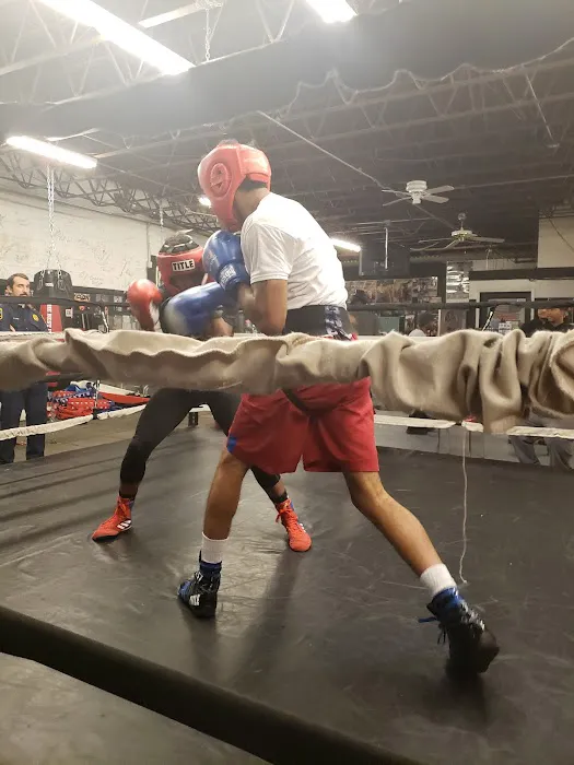 Champs Boxing & Fitness Picture 5