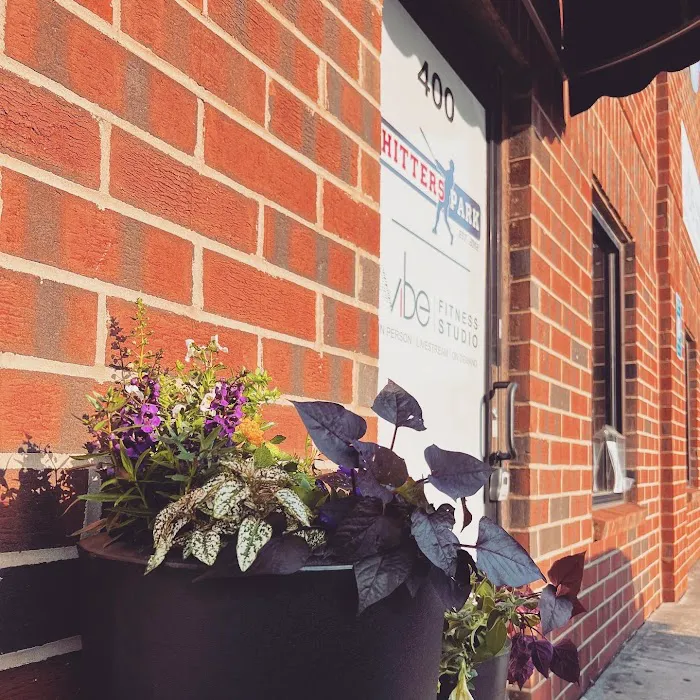 Vibe Fitness, Inc. Picture 5