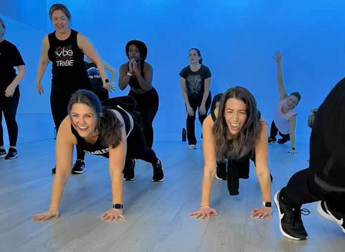 Vibe Fitness, Inc. Picture 4