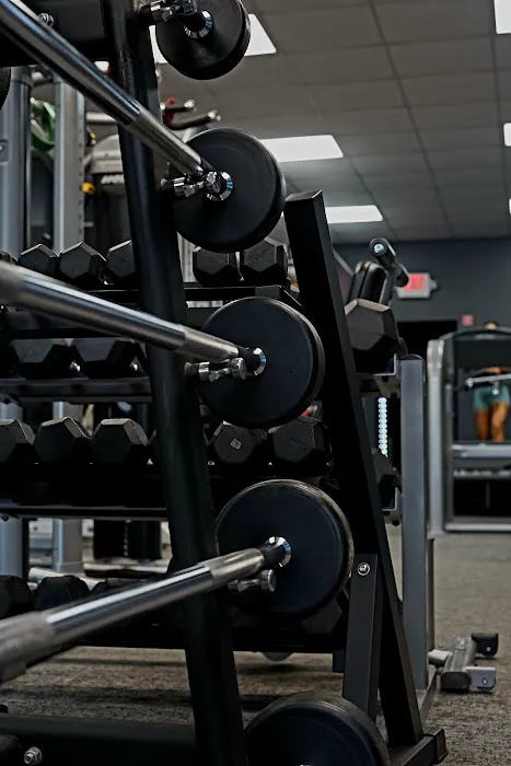 Plus Size Fitness Picture 4