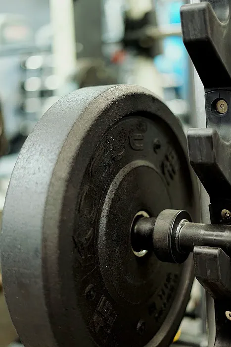 Plus Size Fitness Picture 10