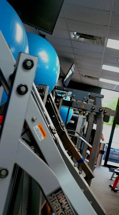 Plus Size Fitness Picture 1