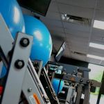 Plus Size Fitness