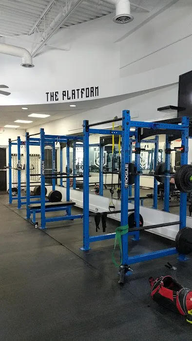 Steel Society Picture 3