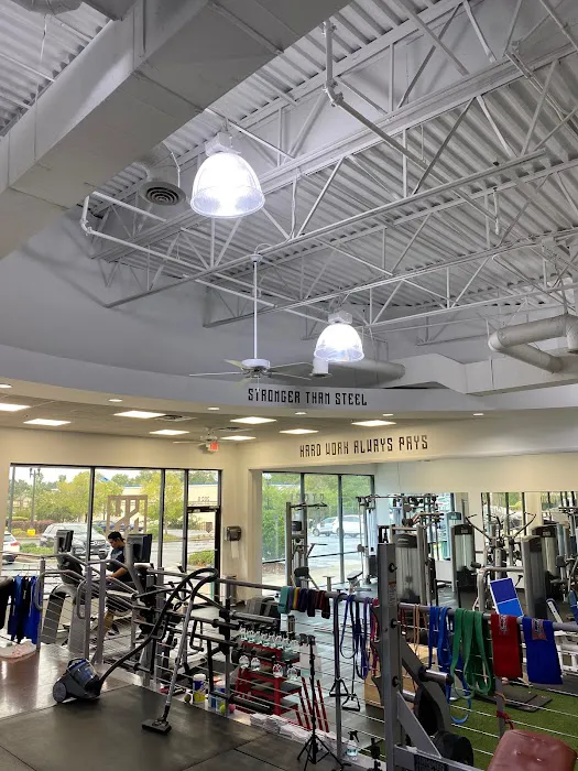 Steel Society Picture 6