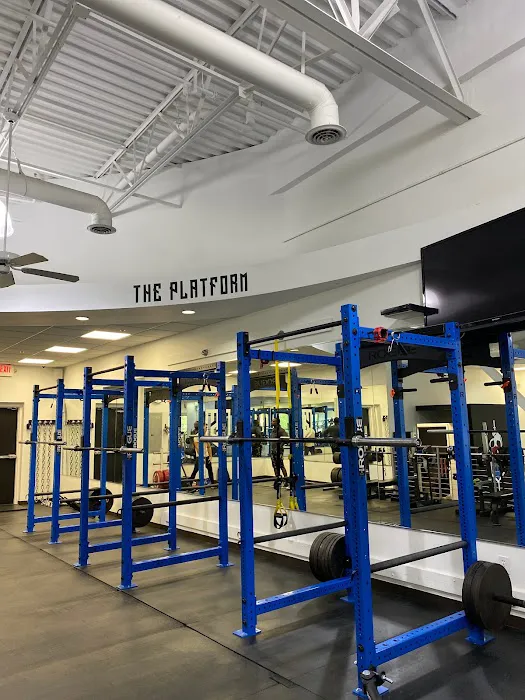 Steel Society Picture 8