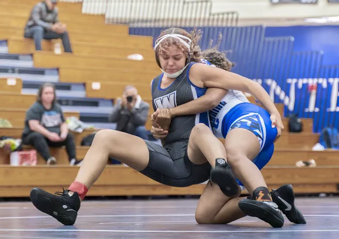 Centennial High School Gymnasium Picture 8