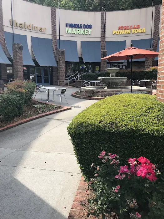 Stellar Power Yoga Picture 9