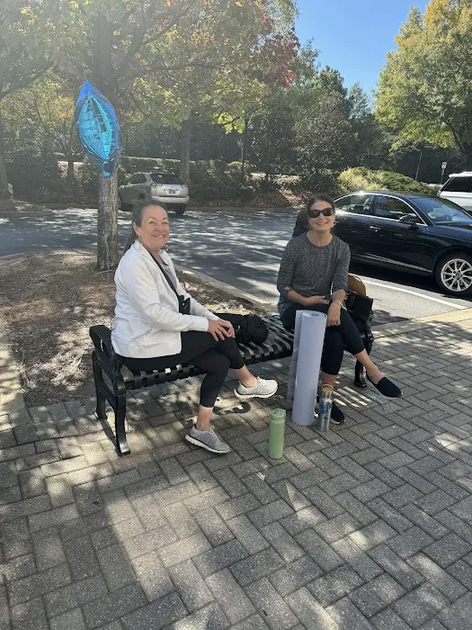 Stellar Power Yoga Picture 10