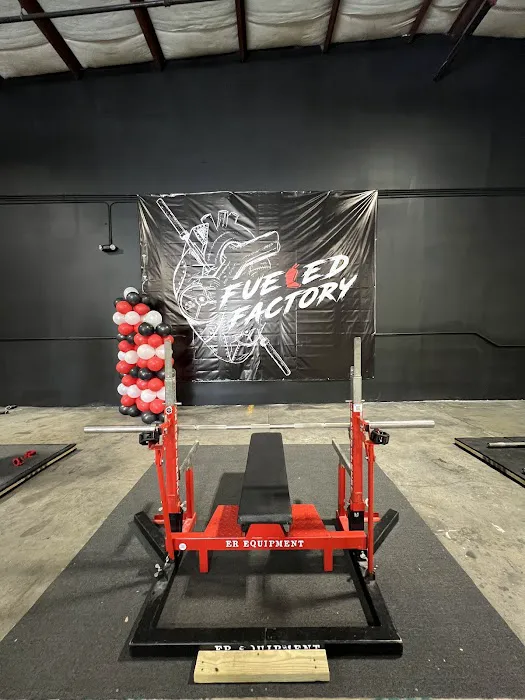 The Lions Den Picture 5