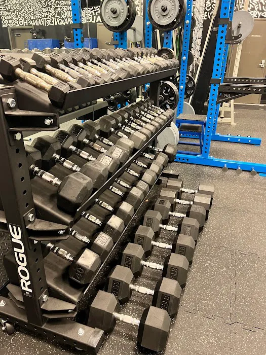 The Hidden Gym Picture 3