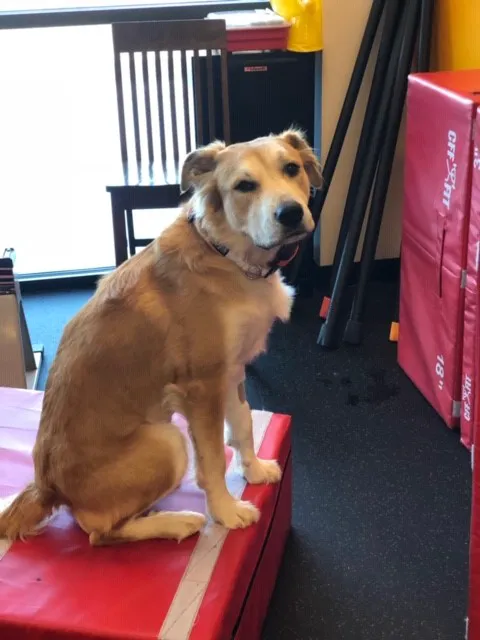 Anytime Fitness Picture 6