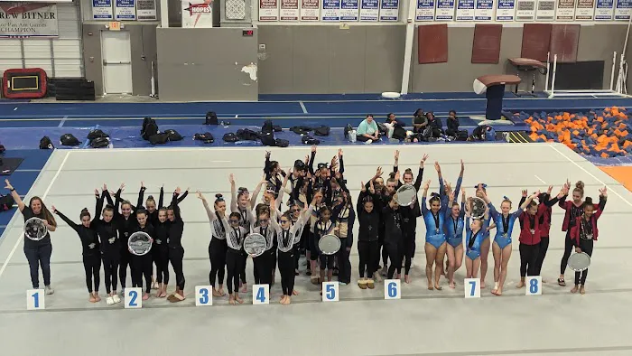 Gymnastix Training Center Picture 9