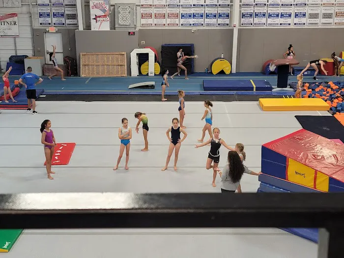 Gymnastix Training Center Picture 3