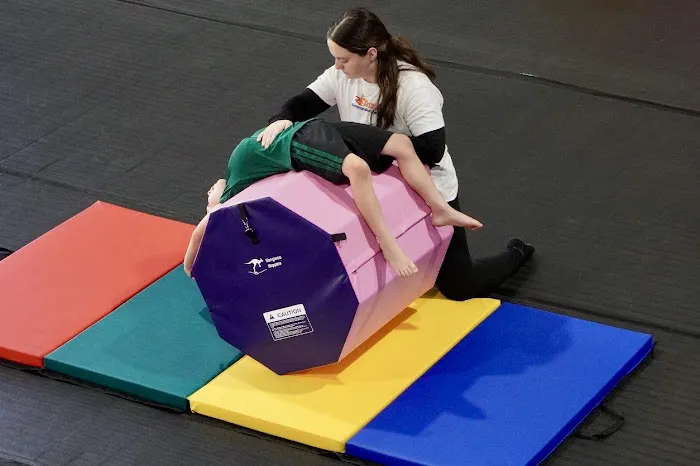 Blaze Gymnastics & Cheer World Picture 4