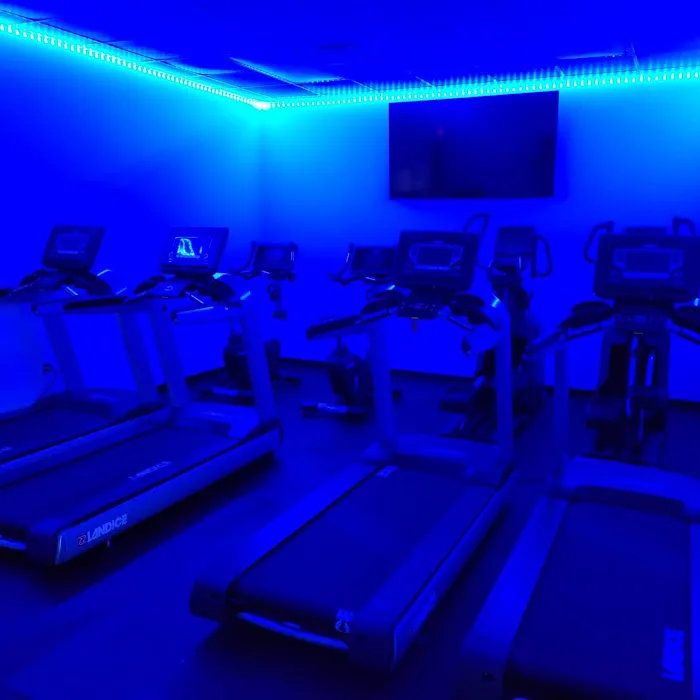 BodyEtch Fitness & Nutrition Picture 9