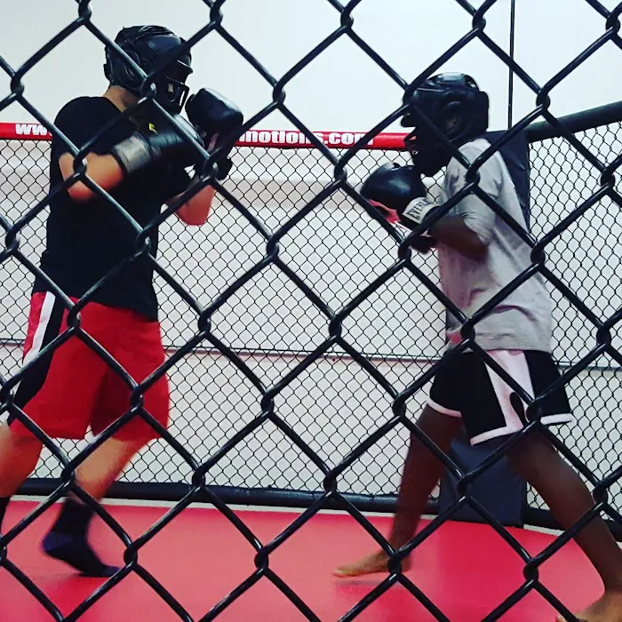 Rodriguez MMA Picture 6