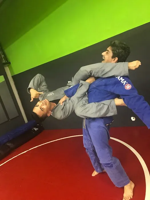 Rodriguez MMA Picture 5