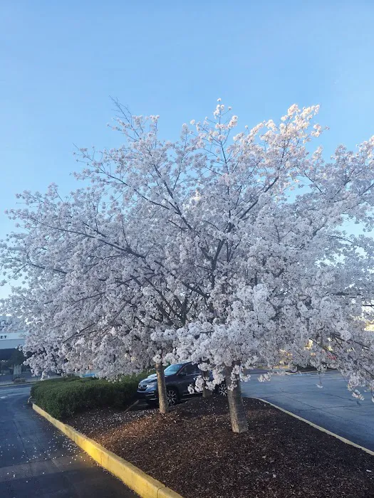 LA Fitness Picture 7