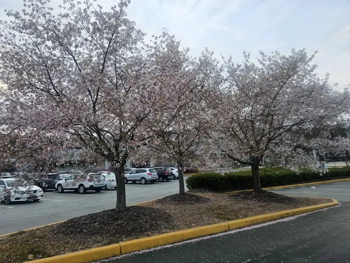 LA Fitness Picture 8