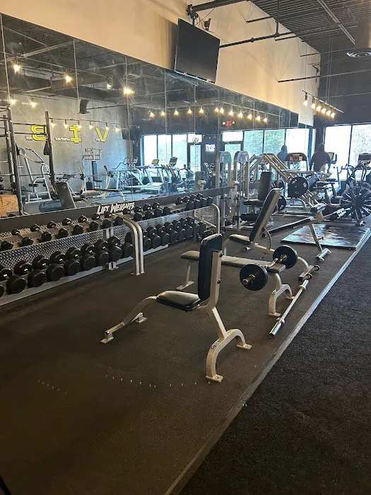 V.I.B Fitness Picture 3