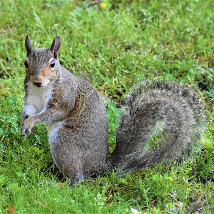 M&H Thunder Kickboxing Picture 4