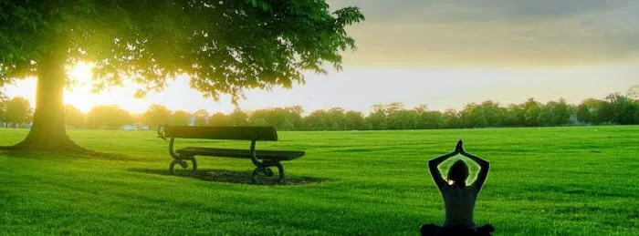 You Yoga, Me Yoga & More Picture 2