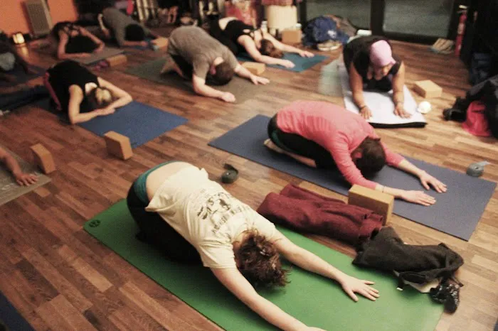 You Yoga, Me Yoga & More Picture 7