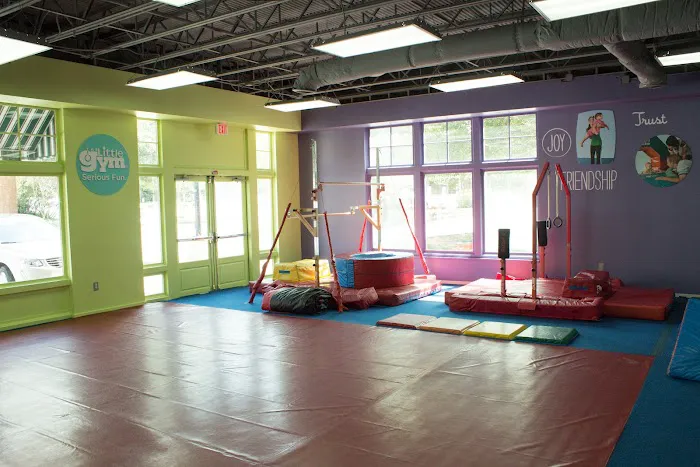 The Little Gym of Smyrna Picture 8