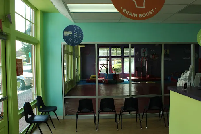 The Little Gym of Smyrna Picture 1