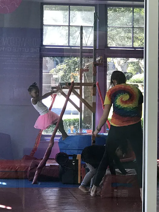 The Little Gym of Smyrna Picture 3