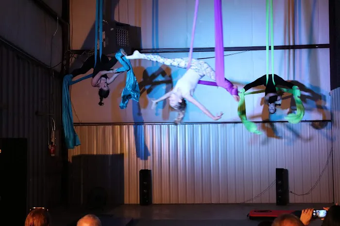 Strong and Fly Picture 8