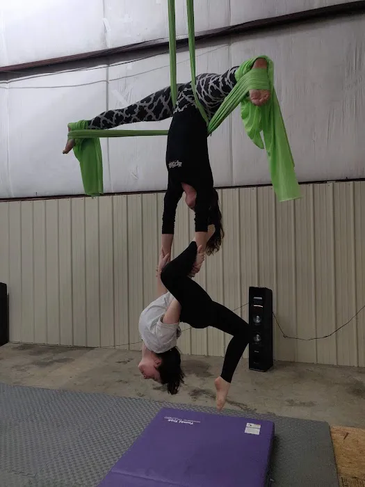 Strong and Fly Picture 5