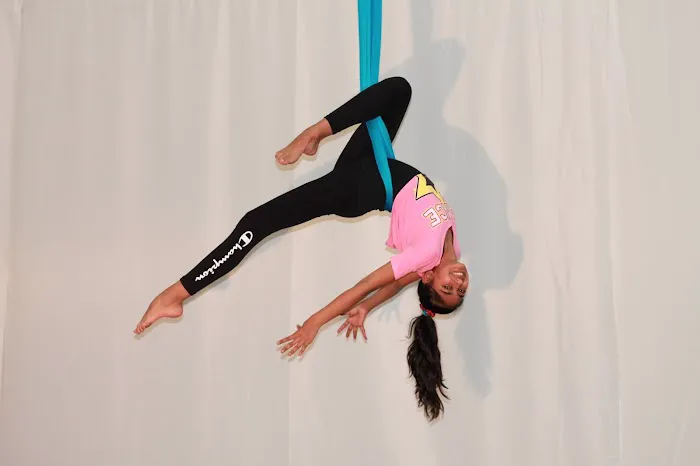 Strong and Fly Picture 2