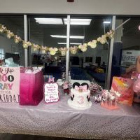 Gymnastics World of Georgia ico